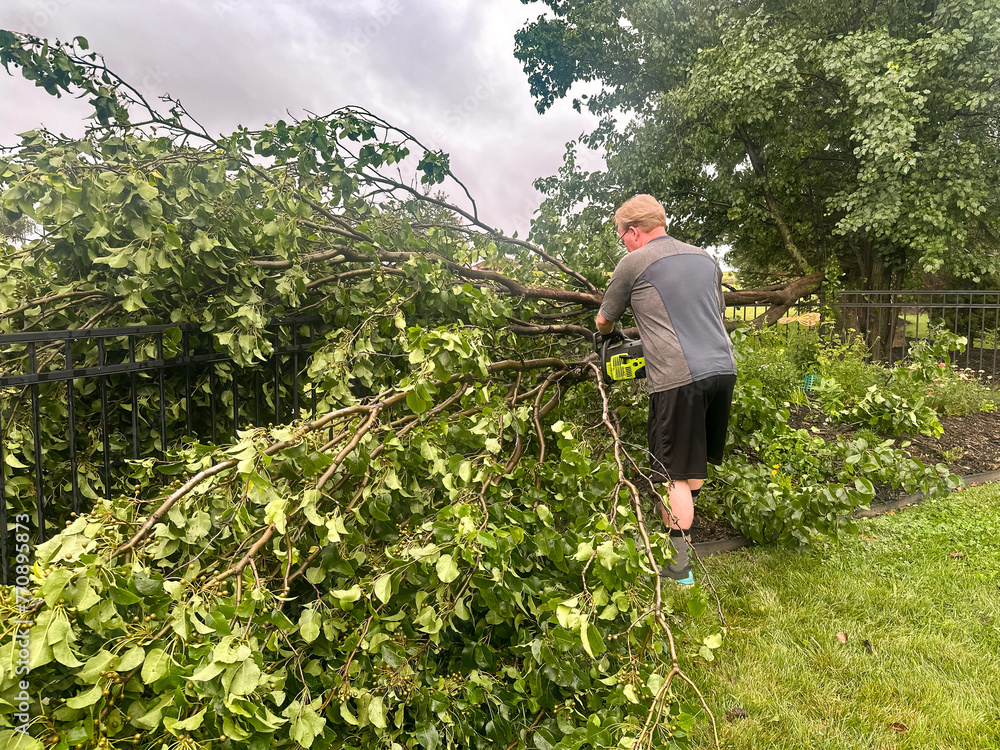 Cleaning up fallen tree Cleaning up fallen tree