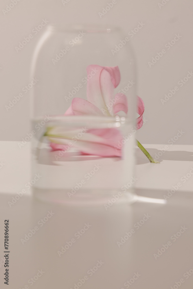 flower behind a vase distorted by water flower behind a vase distorted by water