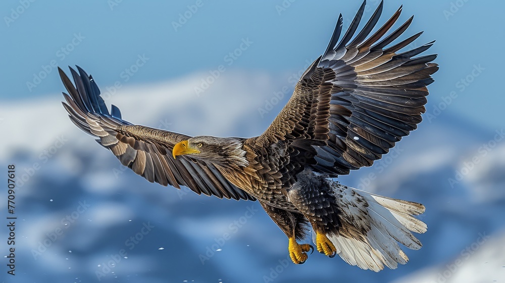 Fototapeta premium A bird flying in the air with spread-out wings