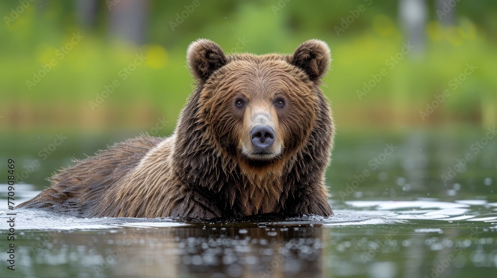 A tight shot of a brown bear submerged in water, surrounded by a hazy backdrop of trees and grass A tight shot of a brown bear submerged in water, surrounded by a hazy backdrop of trees and grass