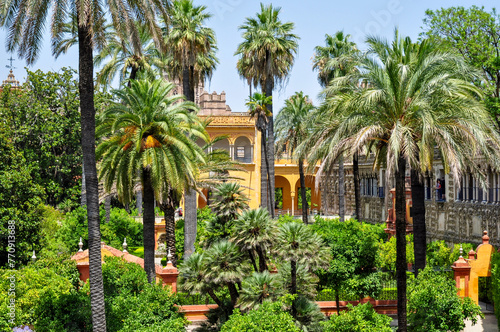 Seville Alcazar gardens in summer  Spain