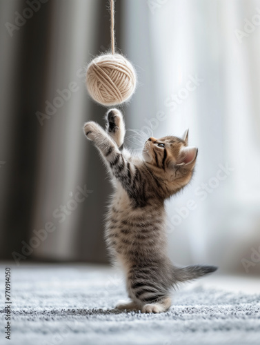 Playful tabby kitten reaching for a hanging ball of yarn indoors.