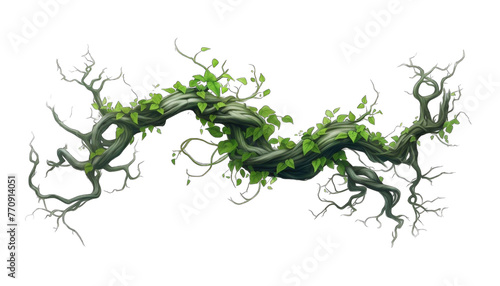 Create A High quality Twisted Wild Creeper. Close-up of ivy growing on tree trunk