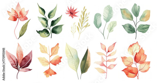 Watercolor illustration of various types of leaves and flowers on a white background