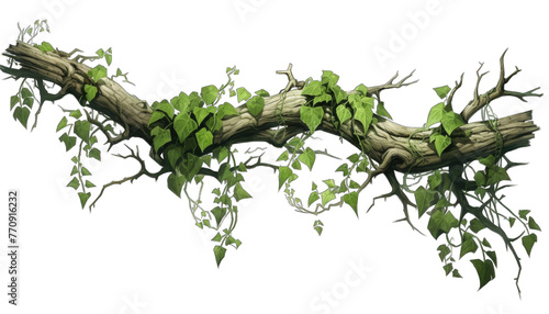 Create A High quality Twisted Wild Creeper. Close-up of ivy growing on tree trunk