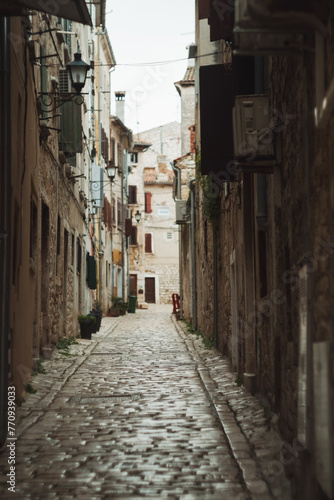 Historic city postcard view - beautiful narrow street of medieval Rovinj Croatia © Veronika Kovalenko