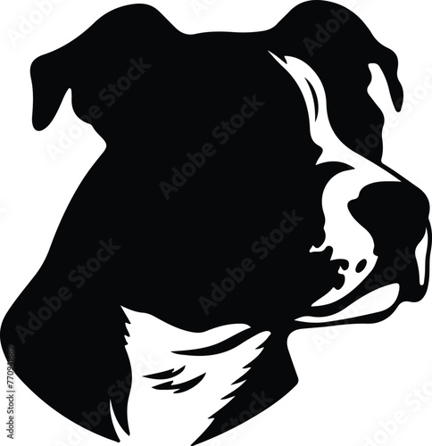 Staffordshire Bull Terrier portrait