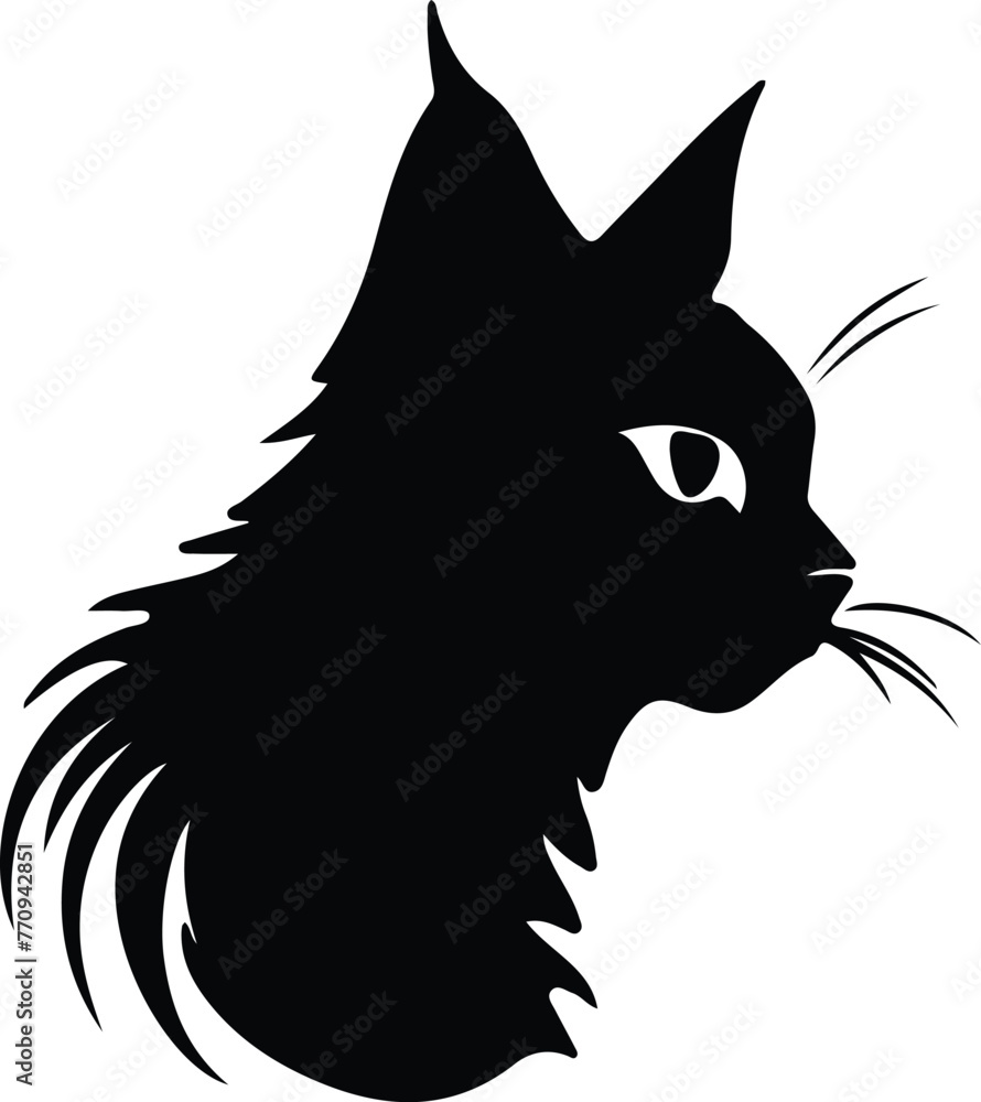 Obraz premium Suphalak Cat portrait