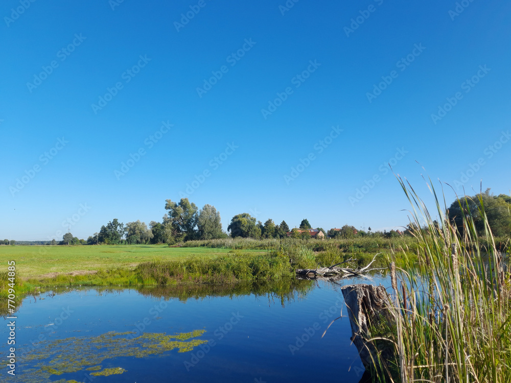 Obraz premium Teichlandschaft