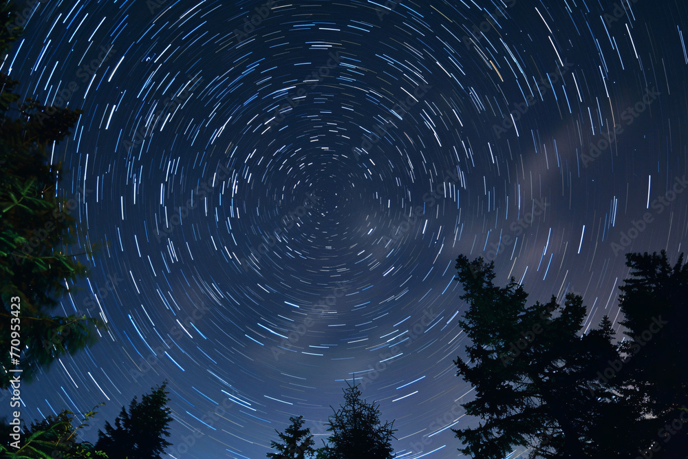 Circular star trails hover above trees in a clear, dark night sky Stock ...