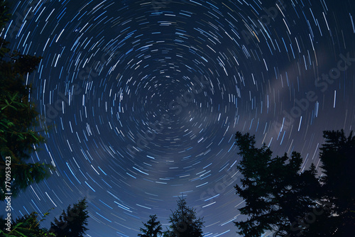 Circular star trails hover above trees in a clear, dark night sky