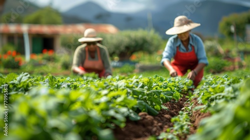 People Standing in Field
