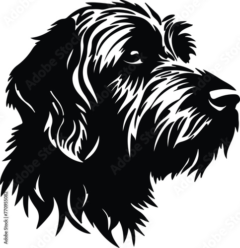 Wirehaired Pointing Griffon portrait