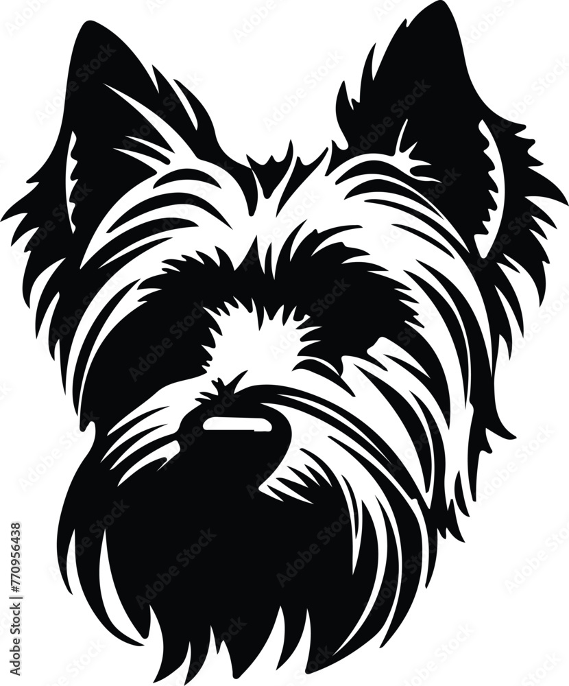 Fototapeta premium Yorkshire Terrier portrait