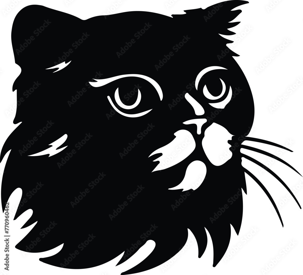 Scottish Fold Cat portrait Scottish Fold Cat portrait