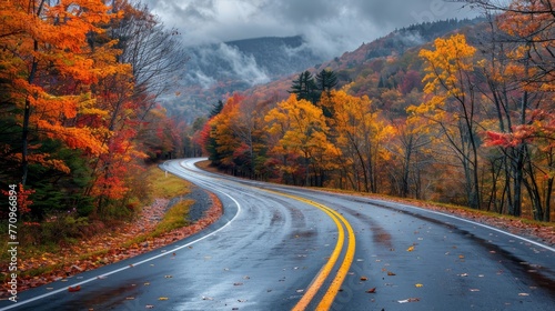 A road with a yellow line down the middle and trees on either side. The road is wet and covered in leaves