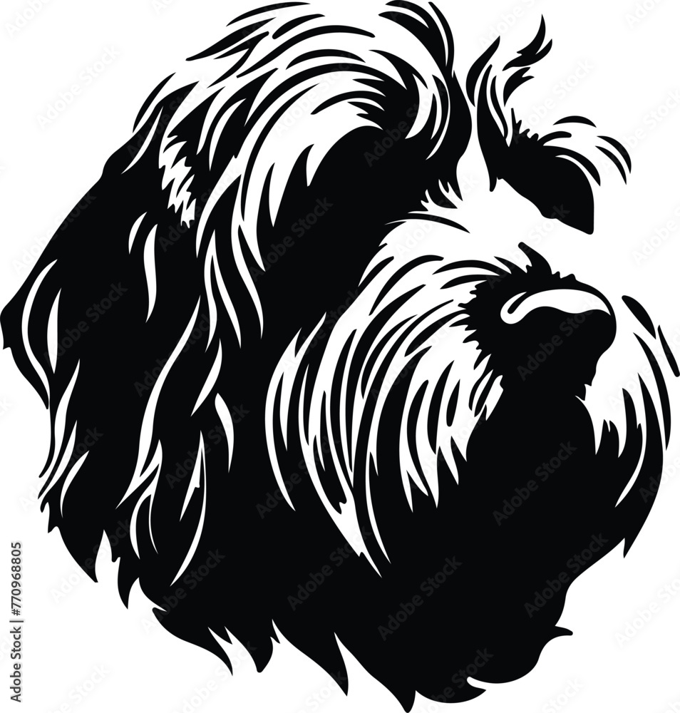 Otterhound portrait