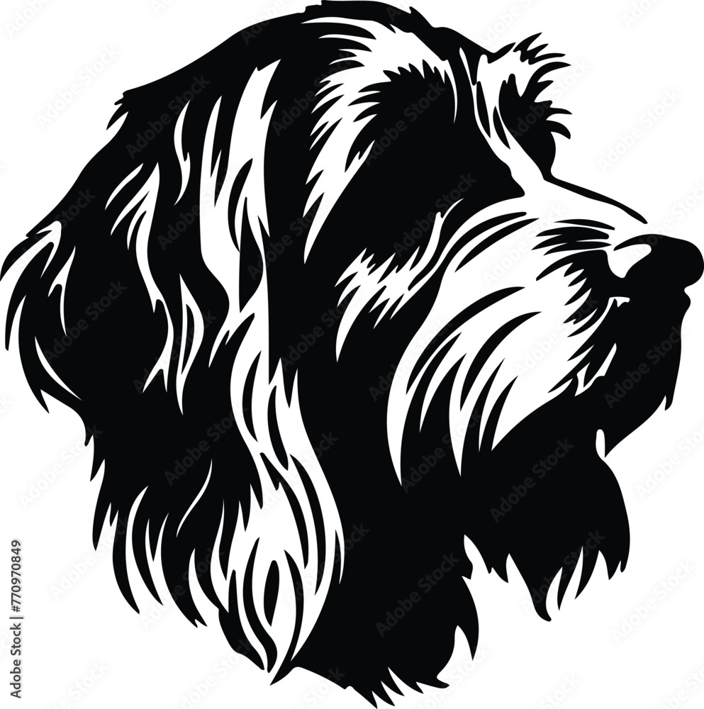 Petit Basset Griffon Venden portrait Petit Basset Griffon Venden portrait