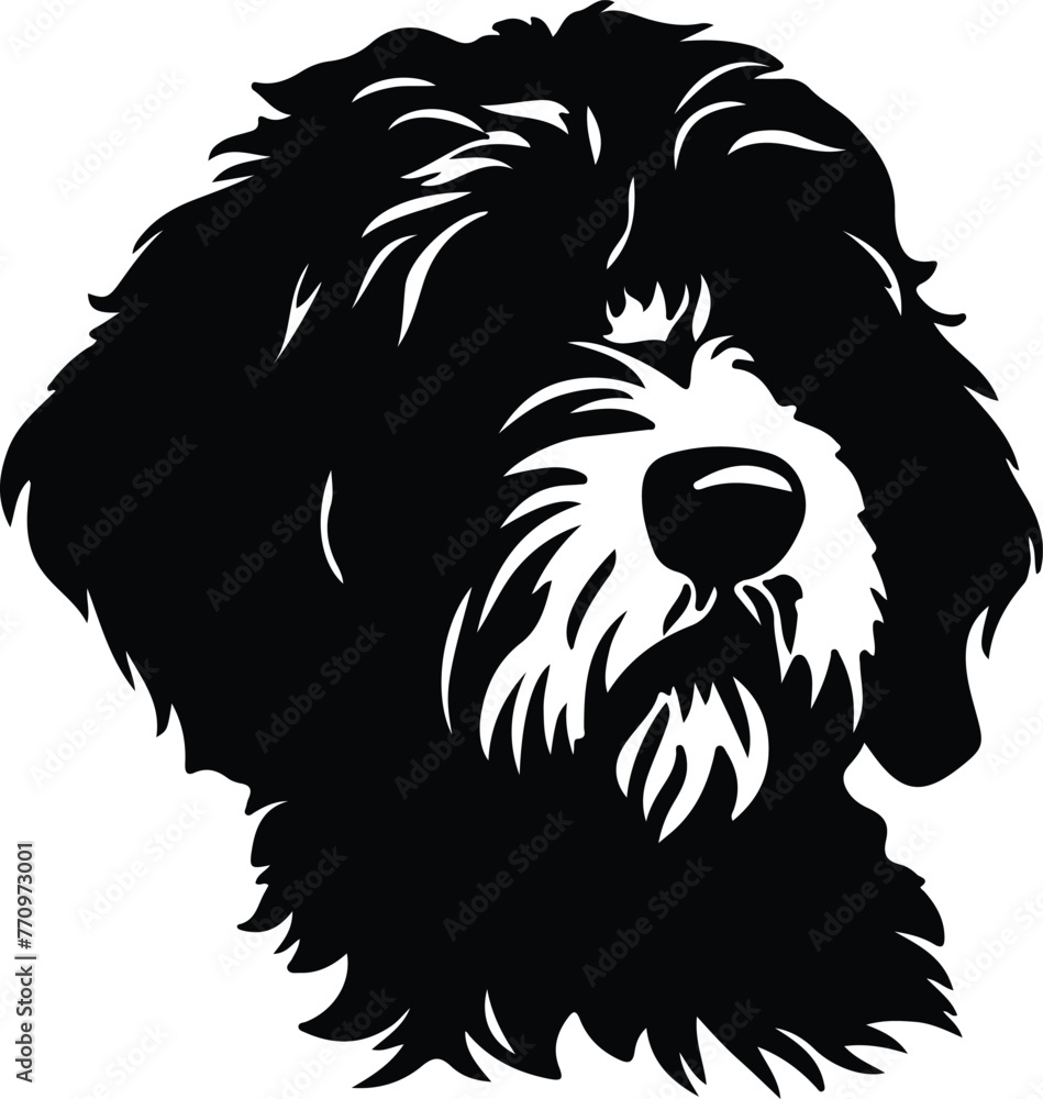 Portuguese Water Dog portrait Portuguese Water Dog portrait