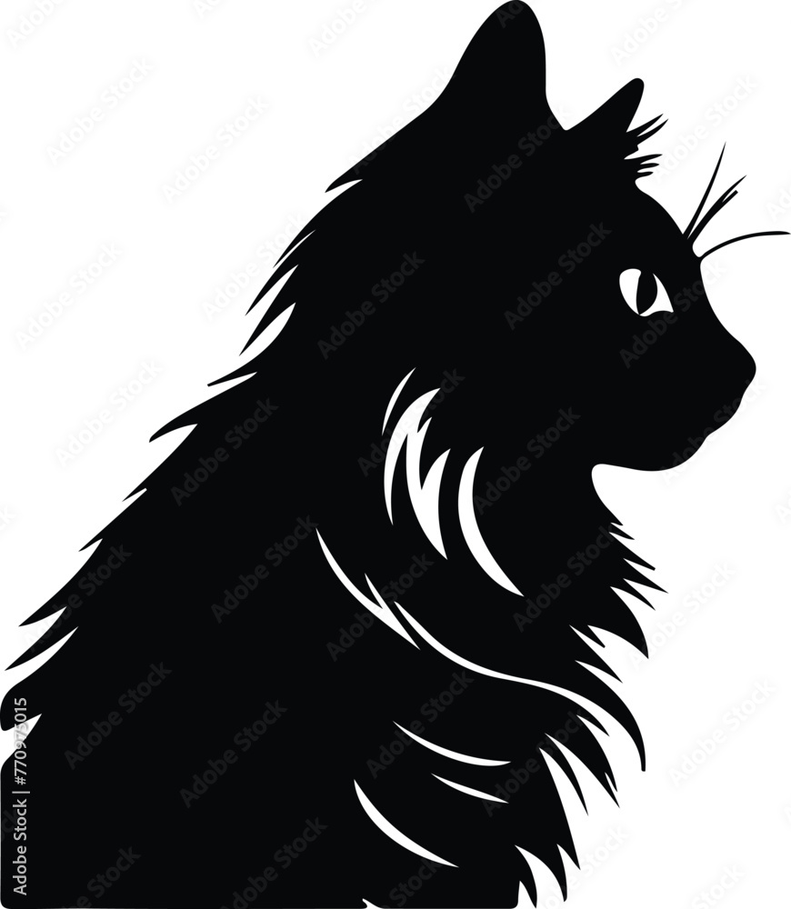 Fototapeta premium Ragamuffin Cat portrait