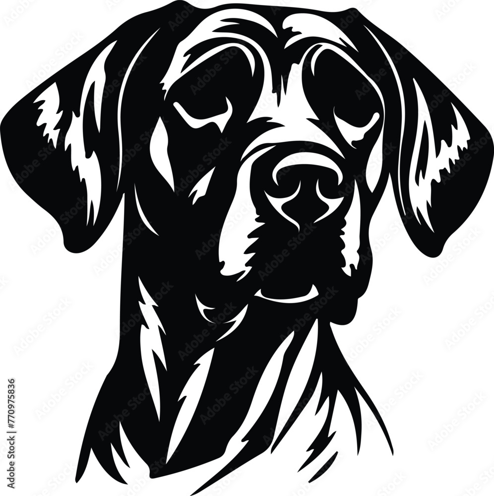 Rhodesian Ridgeback portrait Rhodesian Ridgeback portrait