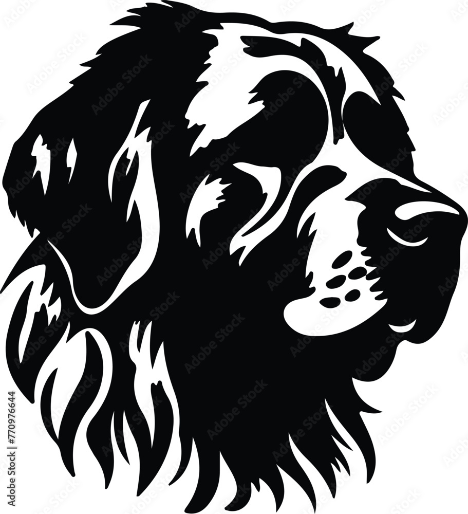 Leonberger portrait Leonberger portrait