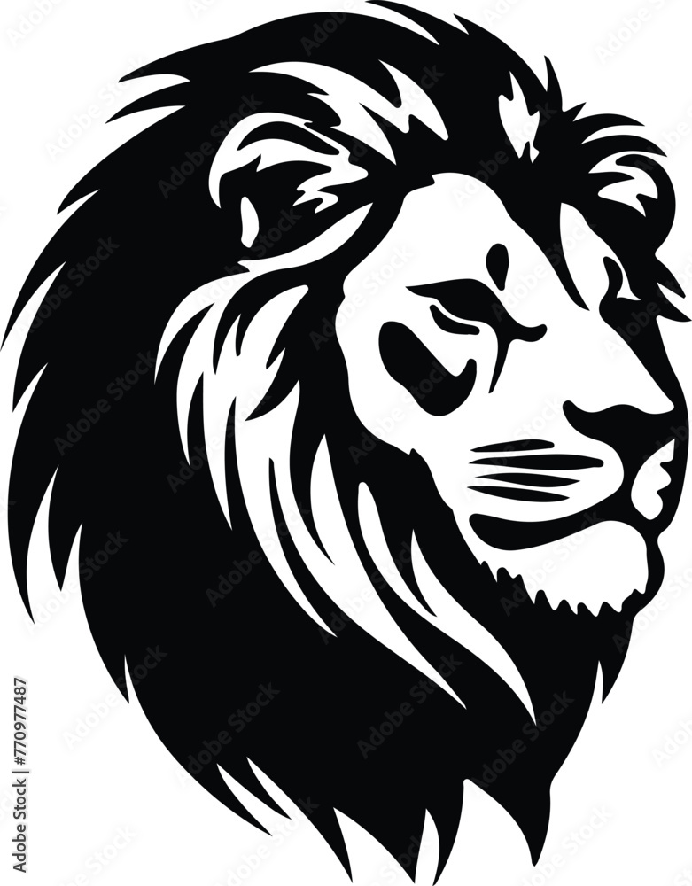 Lion portrait Lion portrait