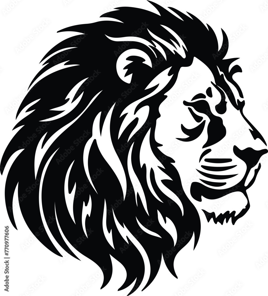Lion portrait Lion portrait