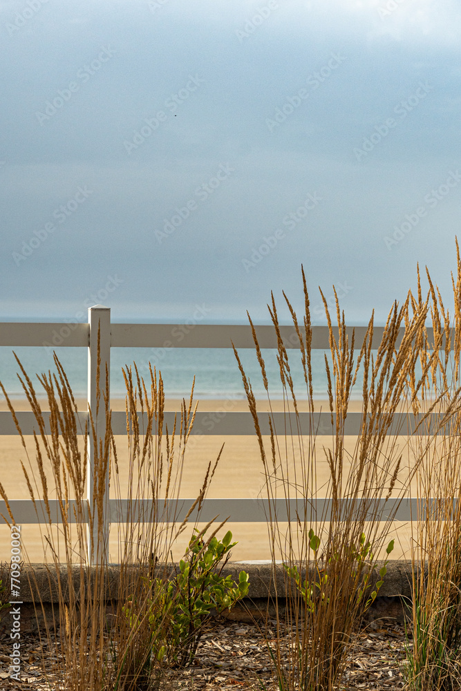 Atlantic coast in France