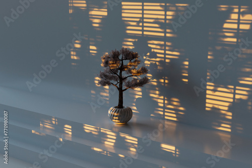 bonsai tree with casted shadows photo