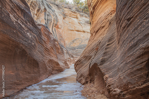 Scenic Willis Creek Slot Canyon in the Grand Staircase Escalante National Monument Utah