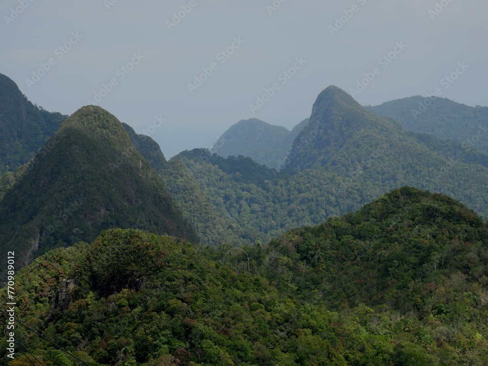 Lush rain forest of Gunung Machinchan at Langawi Malaysia