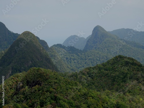 Lush rain forest of Gunung Machinchan at Langawi Malaysia © James