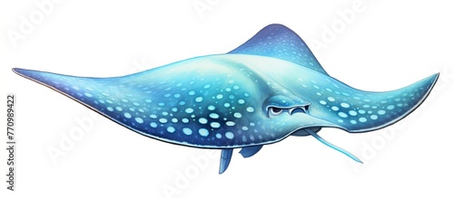 Illustration of a cute little stingray cartoon animal swimming in the sea on a white background