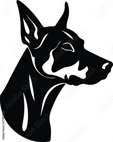 Doberman Pinscher portrait