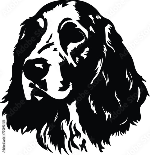 English Setter portrait