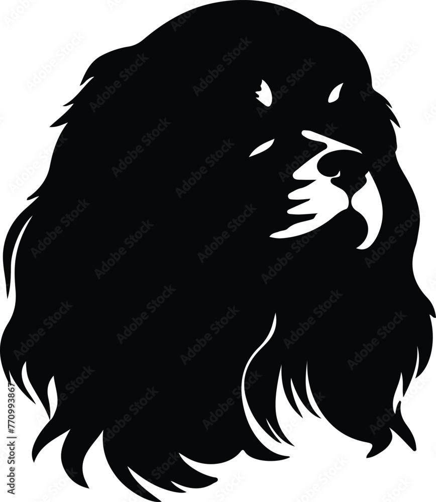 English Toy Spaniel portrait English Toy Spaniel portrait