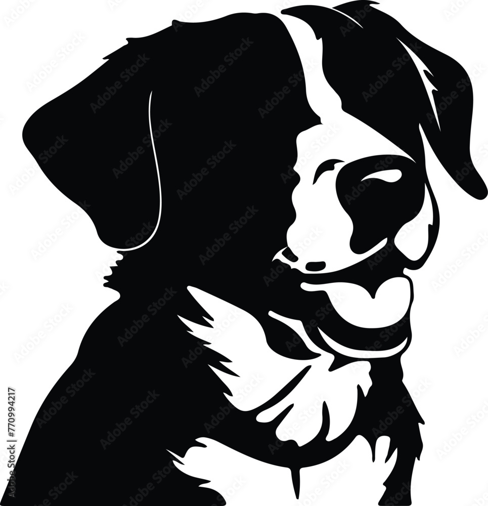 Entlebucher Mountain Dog portrait Entlebucher Mountain Dog portrait