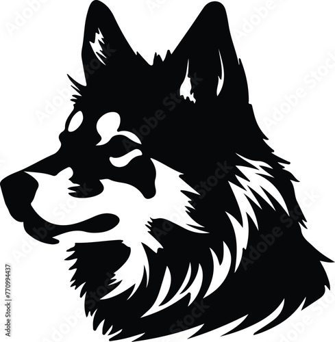 Eskimo Dog portrait