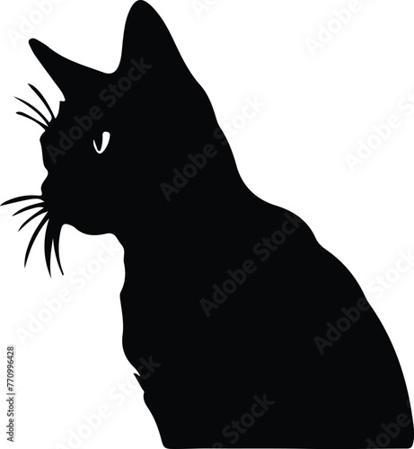 Foldex Cat portrait