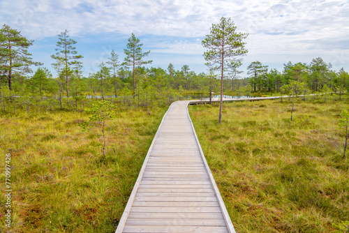 Viru bogs at Lahemaa national park, Estonia. Wooden hiking trail at wild place