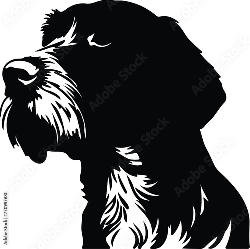 German Wirehaired Pointer portrait