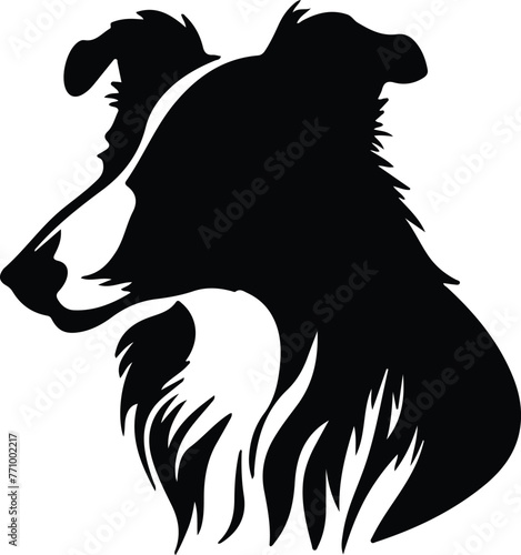 Wallpaper Mural Collie portrait Torontodigital.ca