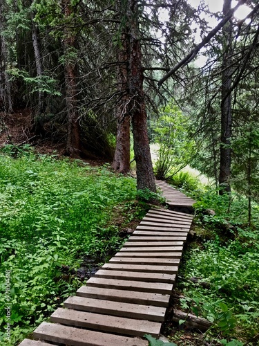 The green wooden path