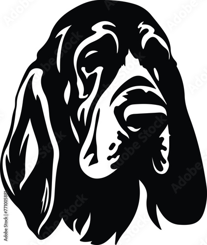 Bloodhound portrait