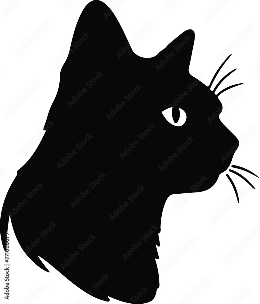 Brazilian Shorthair Cat portrait Brazilian Shorthair Cat portrait