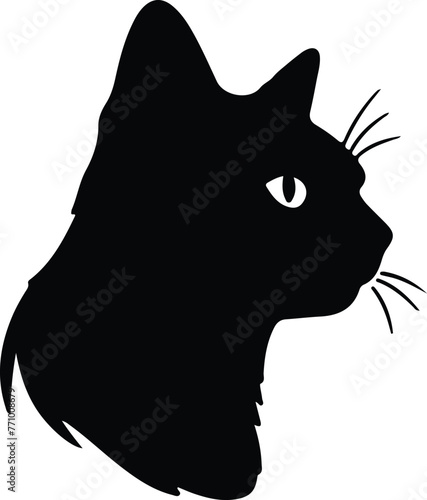 Brazilian Shorthair Cat portrait