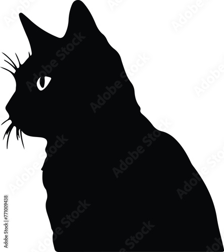 British Shorthair Cat portrait
