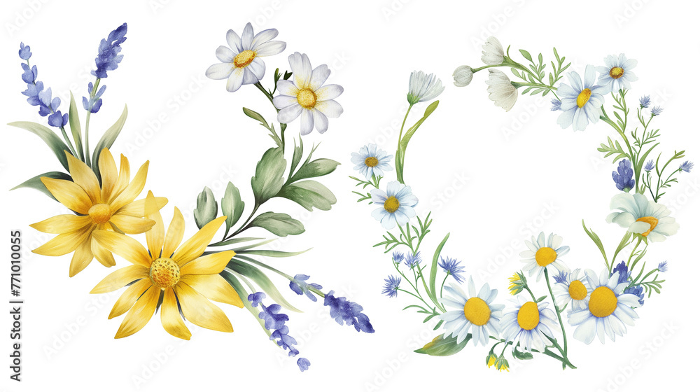 set of watercolor wild flowers and daisies in a floral wreath, yellow flowers with lavender clipart isolated on a white background, a digital art illustration in a pastel color set of watercolor wild flowers and daisies in a floral wreath, yellow flowers with lavender clipart isolated on a white background, a digital art illustration in a pastel color