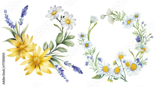  set of watercolor wild flowers and daisies in a floral wreath, yellow flowers with lavender clipart isolated on a white background, a digital art illustration in a pastel color